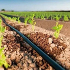 Mangueira Tubo Irrigaçao 5/8  Polegadas Lisa Flexivel 50 Metr