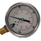Manômetro Com Glicerina 14 Bar