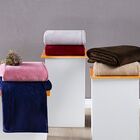 Manta Aveludada Fleece Belgica Queen 01 Peça - Rose