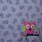 Manta Buettner Baby Microfibra Coruja 0,80m X 1,00m Roxo