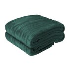 Manta Cama Solteiro Soft Premium 150x230cm Belchior Verde Bot