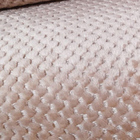 Manta Cobertor Microfibra Degradê Queen - Rosê - 100% Poliést