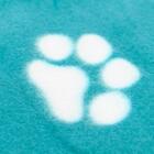 Manta Cobertor Para Cachorro Gato Verde Água 70x100cm  - Casa