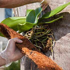 Manta De Fibra De Coco Coquim Fofa