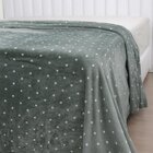 Manta De Microfibra Estampa Poá Habitat Casal  Poá Verde