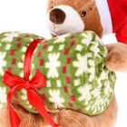 Manta E Bichinho Pelúcia Bene Casa Urso Natalino Microfibra B