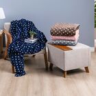 Manta Queen Petit Poa Flannel Microfibra 1 Peça - Cinza