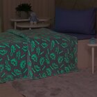 Manta Tv Candy Brilha No Escuro 127x152cm Dino
