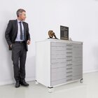 Mapoteca 10 Gavetas 120,4cm X 122,3cm Aço Branco/cinza