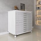 Mapoteca 10 Gavetas 120,4cm X 122,3cm Aço Branco/cinza