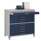 Mapoteca 10 Gavetas Pandin 120 Cm (larg) Inmetro Tampo Mdp Ci