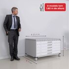 Mapoteca De Aço Fixa Com 05 Gavetas