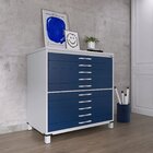 Mapoteca De Aço Fixa Com 10 Gavetas