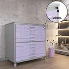 Mapoteca De Aço Fixa Com 10 Gavetas