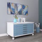 Mapoteca Mont 5 Gavetas 71,3cm X 120,4cm Aço Branco/azul Dali