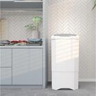 Máquina De Lavar Britânia 12kg Semi Branca Blrs120b 220v