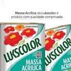 Massa Acrilica Lukscolor 25kg