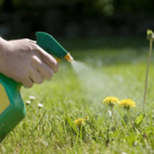 Mata Mato Karpir 7,5ml Concentrado Herbicida Seletivo Faz 5l