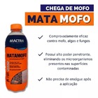 Mata Mofo Antimofo Mactra Tira Mofo  Bolor  Limo E Fungos Def
