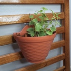 Meio Vaso De Parede Para Pendurar 20 X 13 Cm De Plástico Terr