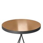 Mesa Aço Redonda Barcelona Amarula