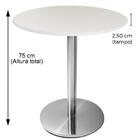 Mesa Beta Em Inox 75 Cm (altura) Com Disco Redondo Com Tampo