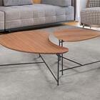 Mesa De Centro Ibiza Tampo Orgânico Cinamomo Pés Em Metal Pre