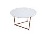 Mesa De Centro Jade Para Sala De Estar Pés De Aço Moderna