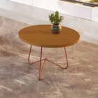 Mesa De Centro Nature/bronze 8006 - Jb Bechara