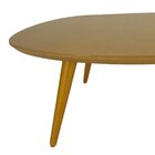 Mesa De Centro Orgânica Madeira