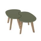 Mesa De Centro Organica Menta Artely