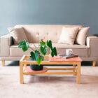 Mesa De Centro Russia - Preto