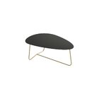 Mesa De Centro Trude Organica 35cm X 90cm X 60cm Preto/dourado