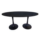 Mesa Design Saarinen Pelegrin Pel 1995 160cm