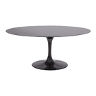 Mesa Jantar Saarinen 6a8 Lugar Sao Gabriel Oval 122x235cm Pre