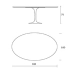 Mesa Jantar Saarinen Preto Absoluto Oval 100x180cm Preto