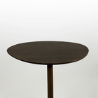 Mesa Lateral Monopé Design Orgânico 35x50cm - Tabaco