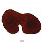 Mesa Resinada De Jantar Sérvia - Madeira Maciça E Pés De Ferr