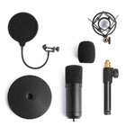 Microfone Condensador Unidirecional Profissional Youtuber Liv