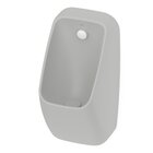 Mictório Rimless Com Entrada Traseira Proton Square Roca Stone