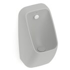 Mictório Rimless Com Entrada Traseira Proton Square Roca Stone