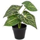 Mini Arranjo Folhas Alocasia Pequeno Verde Grillo