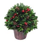 Mini Árvore Com Frutas E Pinhas 22x20x20 1020708