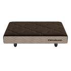 Mini Base Pet Dog (13x60x80) Marrom