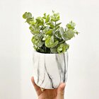 Mini Buquê De Eucalipto X7 Verde Permanente Decorativo