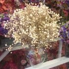 Mini Buquê De Gypsofila  (mosquitinho) I Flores Desidratadas