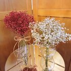 Mini Buquê De Gypsofila  (mosquitinho) I Flores Desidratadas