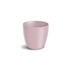 Mini Cachepot Para Suculentas Rosé Nutriplan