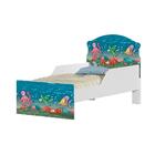 Mini Cama Peixes No Aquário