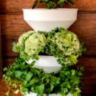 Mini Horta Vertical Auto Irrigável Verde Vida Branca